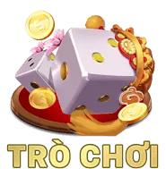 Bắt đầu chơi cá cược